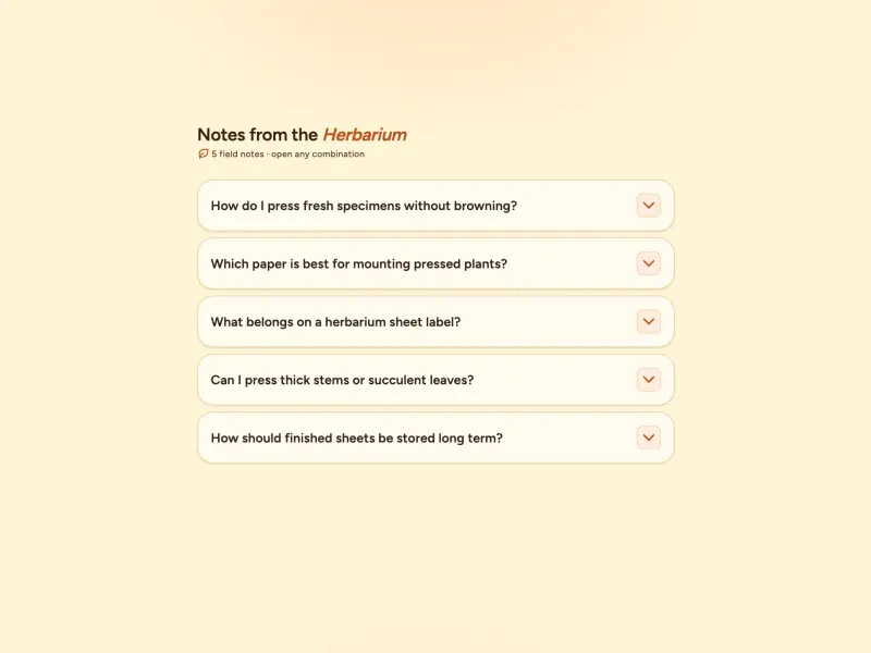 Preview of Accordion — Multi Mode