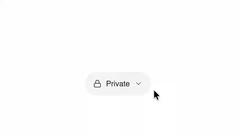 Preview of Privacy Selector Toggle